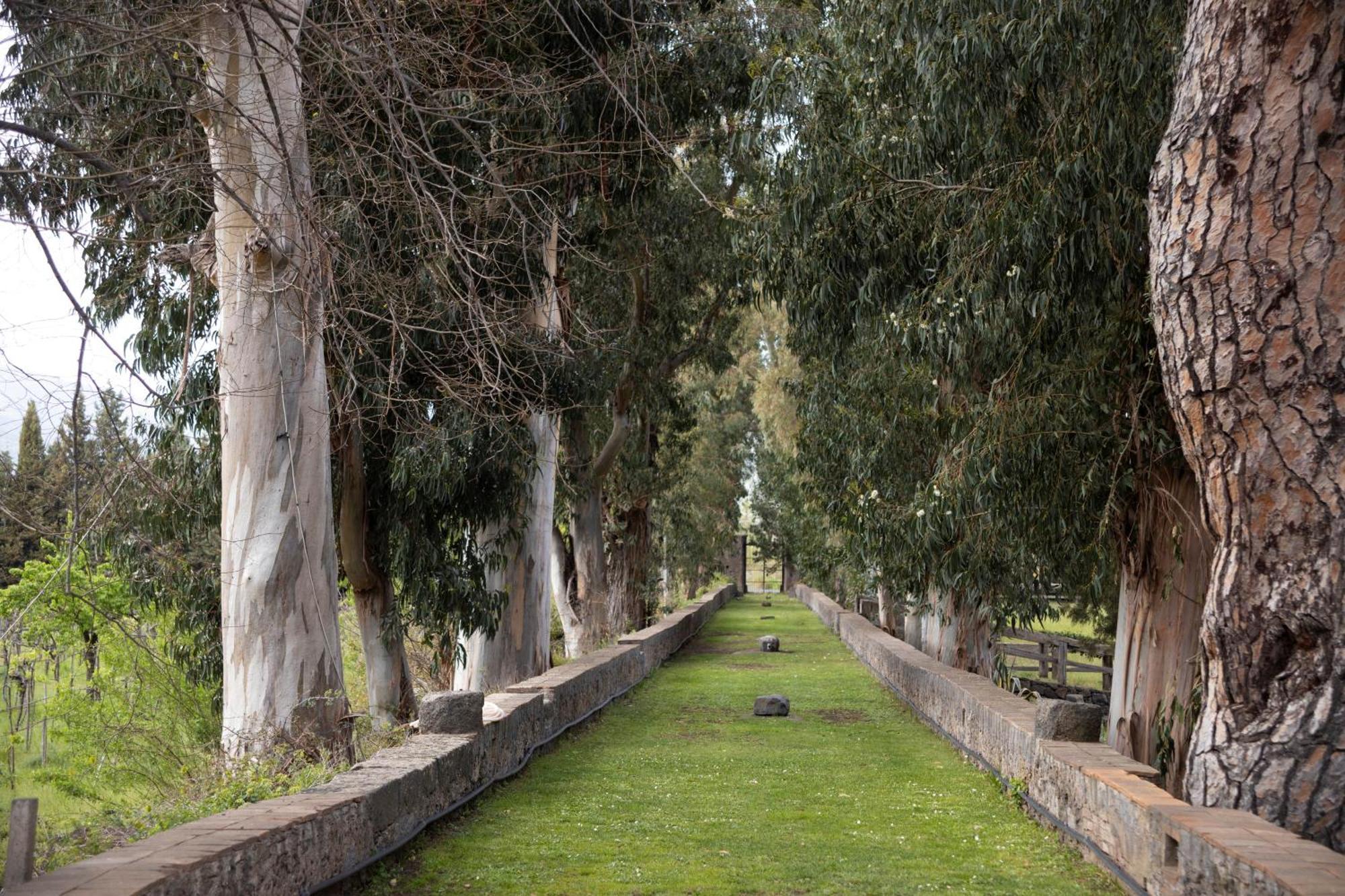 Villa Parco Statella Montelaguardia Exterior foto